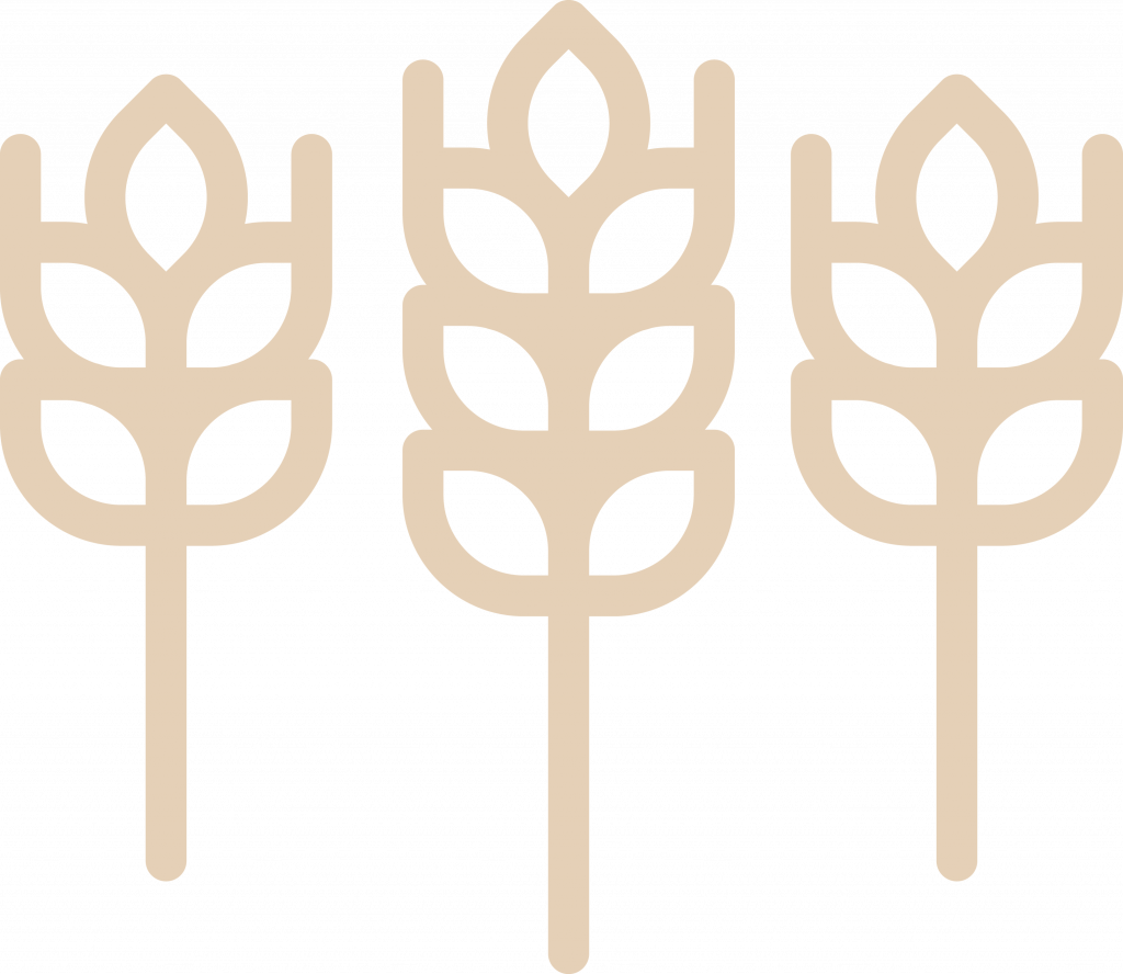 Gestaltungselement auf dem die Kontur von drei goldenen Ähren dargestellt wird.