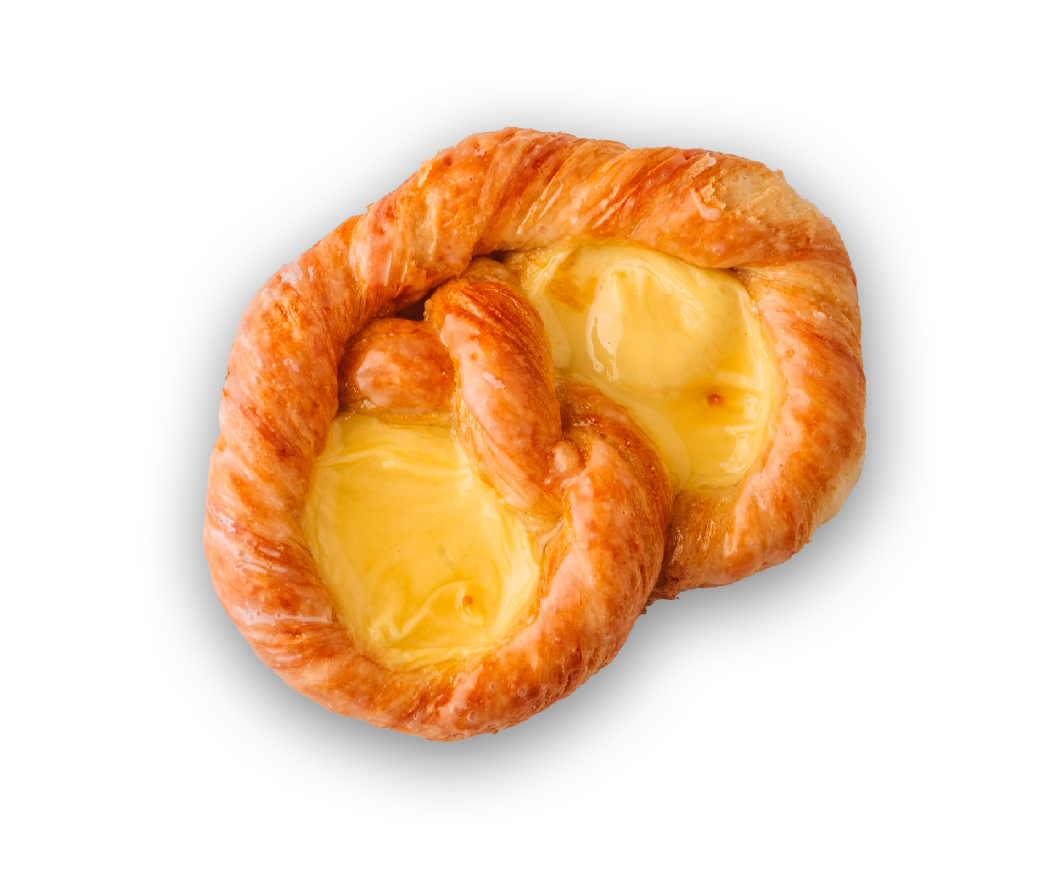 Bild einer Scheffels Plunderschnecke